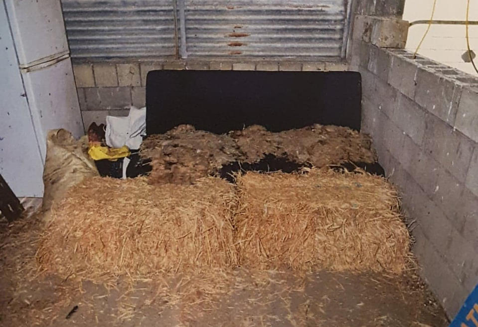 An image tendered as evidence and obtained on Thursday, March 28, 2019, of a pig shed where a European backpacker was chained up and raped over two days by Gene Charles Bristow, 54, Southeast of Adelaide. 