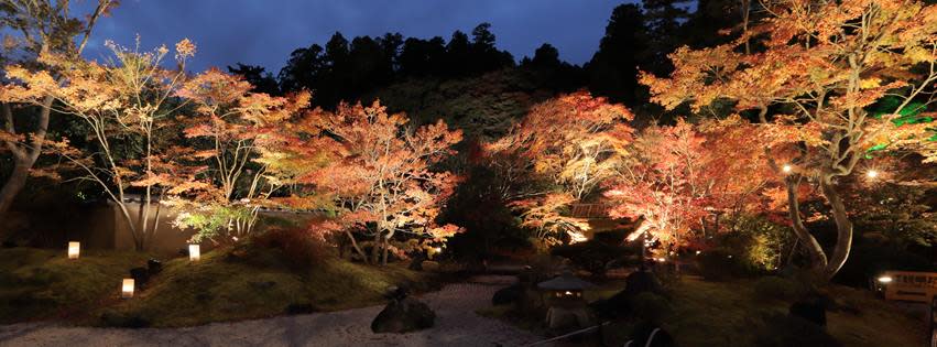 宮城縣松島的円通院不但是日本重要國家文化財，也是松島知名的夜楓賞點。圖：翻攝自円通院臉書