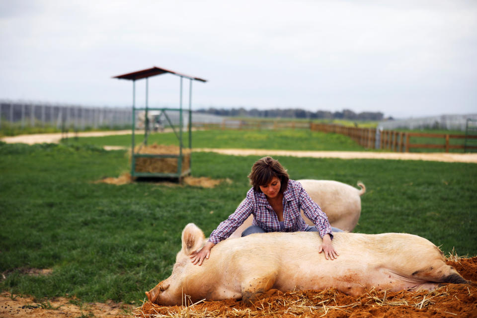 Adit Romano, a co-founder of "Freedom Farm", pats a pig named Omri at the farm which serves as a refuge for mostly disabled animals in Moshav Olesh, Israel. (Photo: Nir Elias/Reuters)              