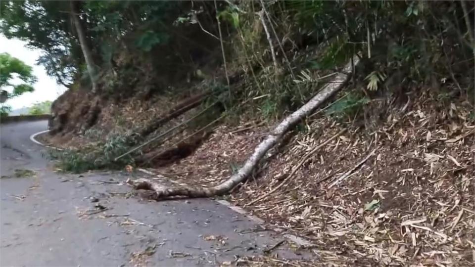 連日降雨又頻地震　大華公路落石險象環生