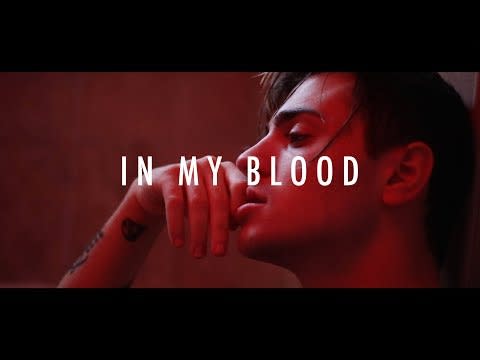 3) 'In My Blood' by Shawn Mendes (Nick Tangorra Cover)