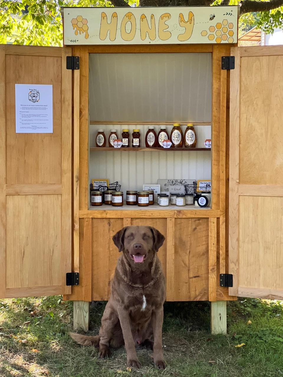 Koda Bear Edwards in front of his owners' honey jars display, which includes his picture on the labels.