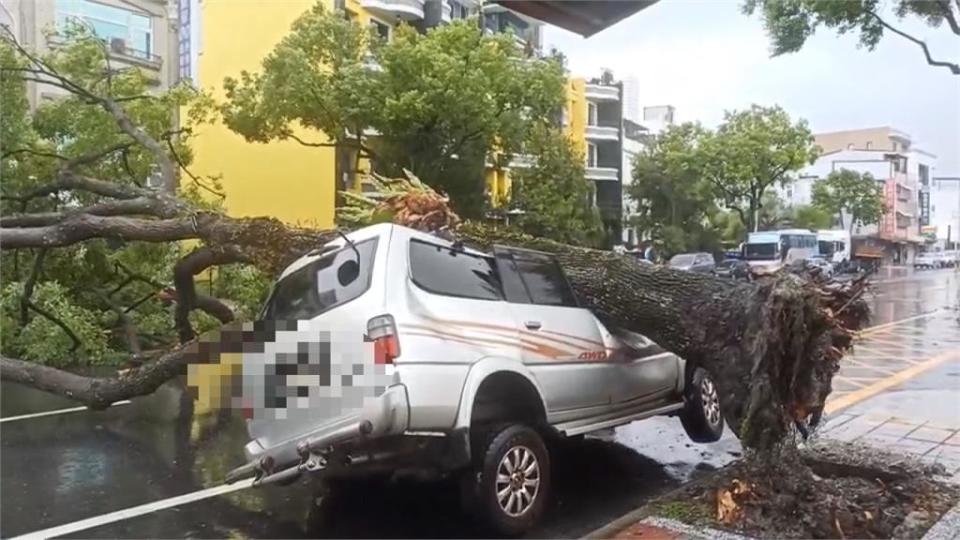 圓規超強環流發威！　 宜.花掀起5米高長浪　路樹遭連根拔起砸車