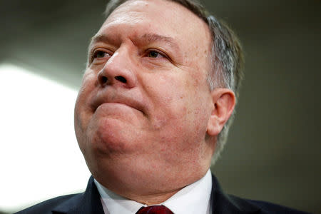 FILE PHOTO: U.S. Secretary of State Mike Pompeo speaks to the media in Washington, November 28, 2018. REUTERS/Joshua Roberts/File Photo