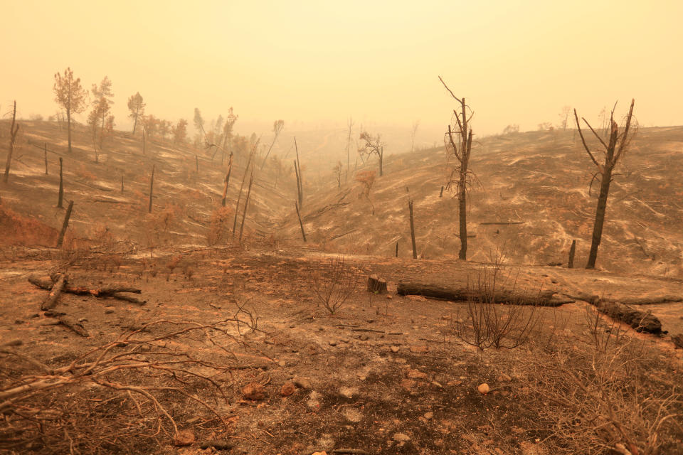 Scarred hills remain after the Carr Fire west of Redding.&nbsp;