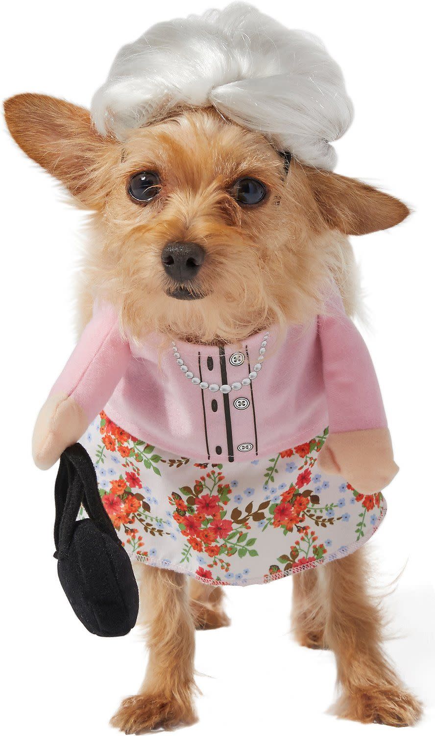 <p><a href="https://go.redirectingat.com?id=74968X1596630&url=https%3A%2F%2Fwww.chewy.com%2Ffrisco-front-walking-granny-dog-cat%2Fdp%2F242146&sref=https%3A%2F%2F" rel="nofollow noopener" target="_blank" data-ylk="slk:Shop Now;elm:context_link;itc:0;sec:content-canvas" class="link ">Shop Now</a></p><p>Granny Dog</p><p>chewy.com</p><p>$19.99</p>