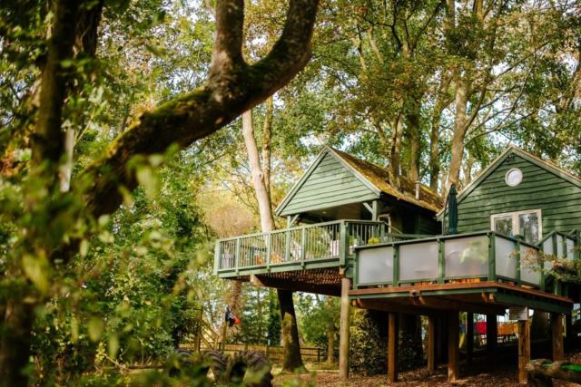 Estas casas del árbol garantizan unas vacaciones impresionantes en las  alturas