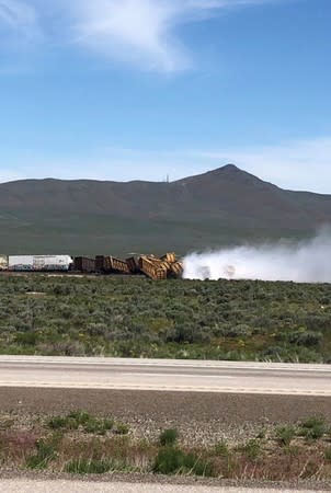 Smoke rises from overturned train wagons after an accident near Wells