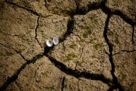 French lake dries up due to winter drought, threatening farming and tourism