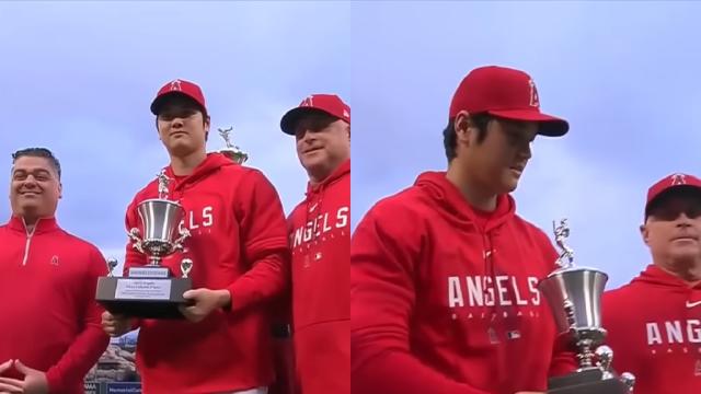 Shohei Ohtani voted Player of the Year by fellow major leaguers