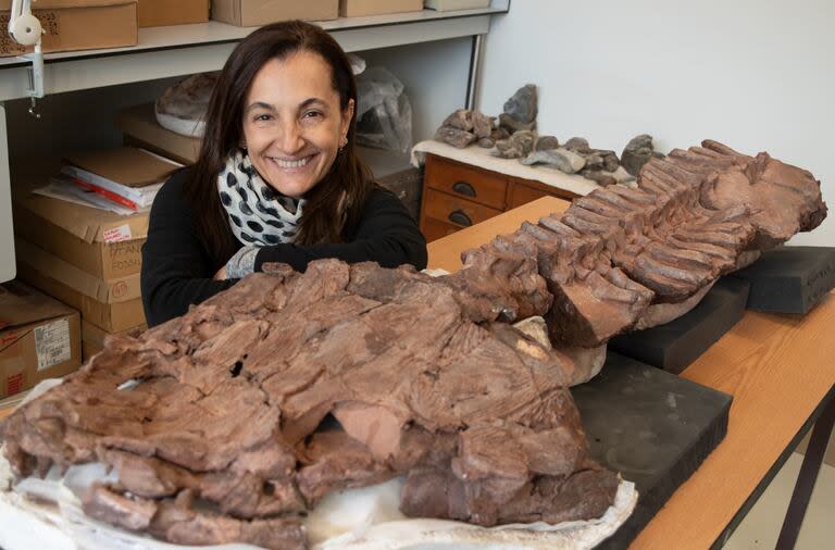 Claudia Marsicano, investigadora argentina del CONICET, quien junto a un equipo de investigadores descubrieron un nuevo tetrápodo basal gigante de unos 285 millones de años de antigüedad al que llamaron Gaiasia jennyae.
