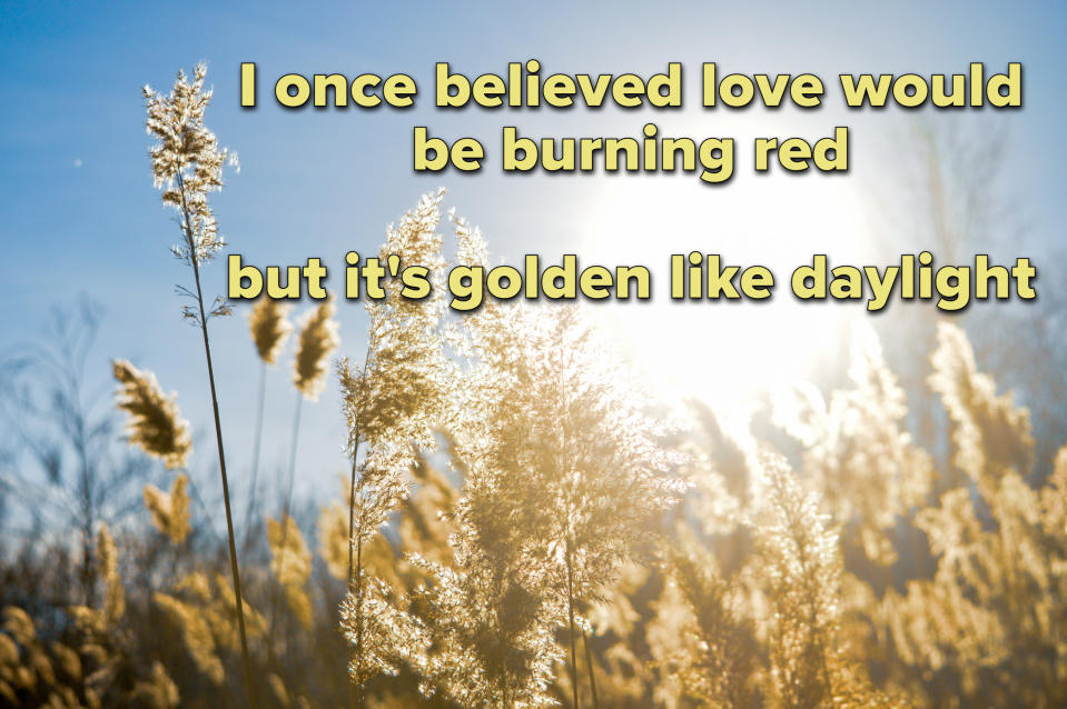 Photo of a wheat field with lyrics from "Daylight" by Taylor Swift on top
