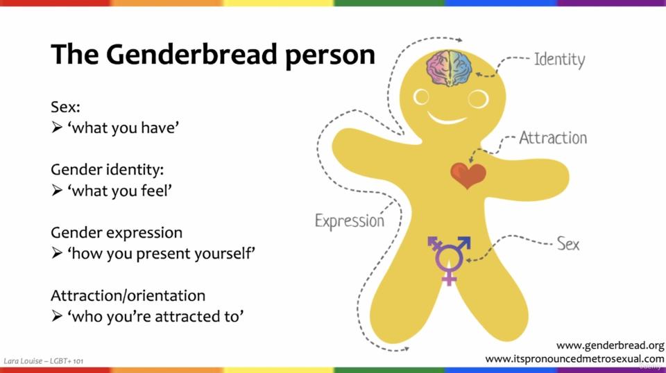 udemy course explaining the concepts of gender identity & expression, and sexual attraction