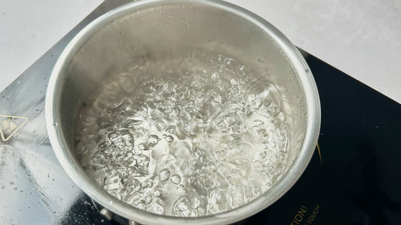 boiling water in saucepan