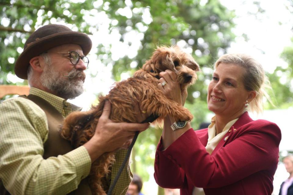 <p>Prince Edward and Sophie currently share their home with two dogs—a black Labrador and a Cocker Spaniel, who Sophie's been seen walking around the Windsor Castle grounds—as well as a more unusual pet. Edward joked in<a href="https://www.hellomagazine.com/royalty/2020060591029/prince-edward-reveals-surprising-pet/" rel="nofollow noopener" target="_blank" data-ylk="slk:a video call;elm:context_link;itc:0;sec:content-canvas" class="link "> a video call</a> last summer that "we've also got a tortoise—who basically runs the house!" (Sadly, there aren't any photos of the dogs or the tortoise; in the image above, Sophie is meeting a friendly pup at a royal engagement.)</p>