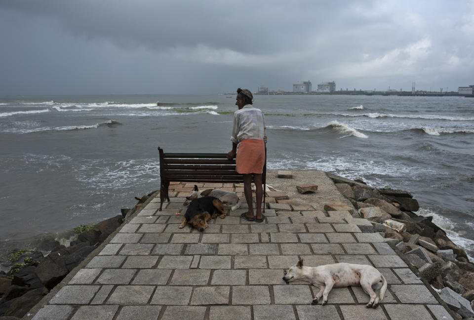 A man stands leaning on a bench as stray dogs sleep at a beach on the Arabian Sea coast in Kochi, Kerala state, India, Saturday, Sept. 18, 2021. Beaches and parks in the state that had been closed to prevent the spread of the coronavirus were reopened to public on Tuesday. (AP Photo/R S Iyer)