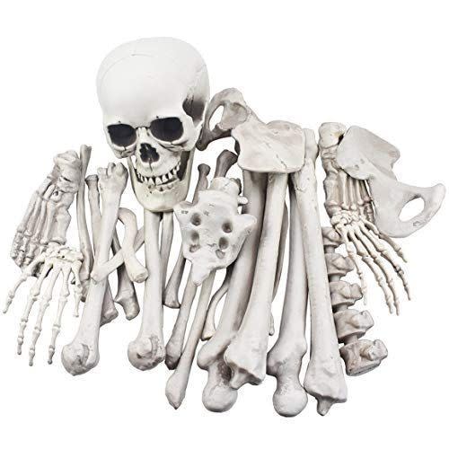 <p><strong>XONOR</strong></p><p>amazon.com</p><p><strong>$27.99</strong></p><p>Set up these bones in your yard, and passersby will do a double-take! This set comes with 28 realistic pieces.</p>