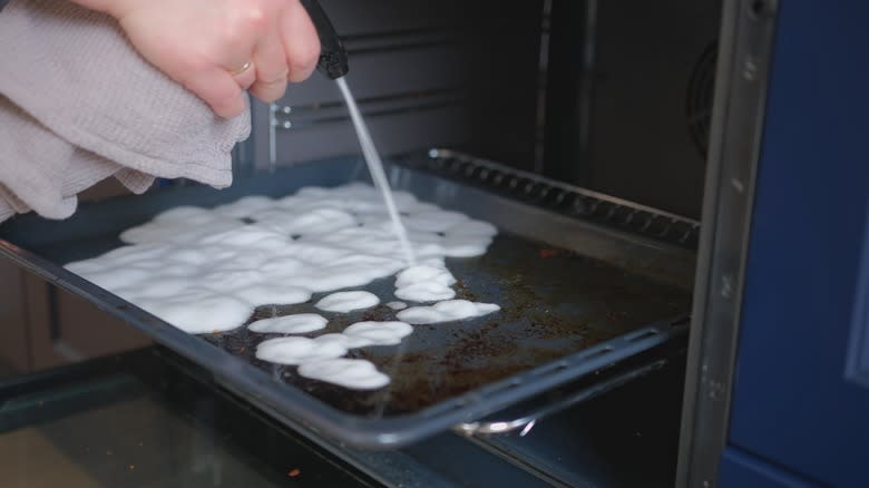 Spraying chemical cleaner into oven