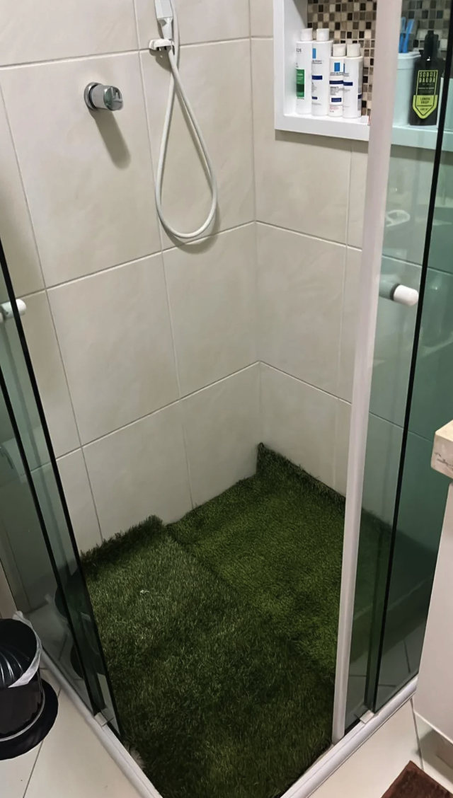 Fake grass in a shower