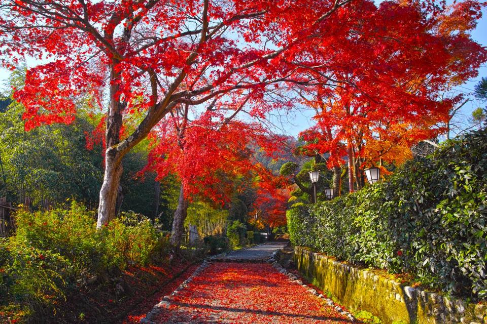 Best time to visit Japan - autumn