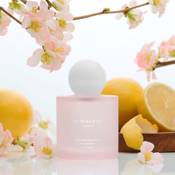 <p><a href="https://go.redirectingat.com?id=74968X1596630&url=https%3A%2F%2Fwww.sephora.com%2Fproduct%2Fjo-malone-london-sakura-cherry-blossom-P482018&sref=https%3A%2F%2Fwww.cosmopolitan.com%2Fstyle-beauty%2Fbeauty%2Fg60503370%2Fbest-cherry-perfumes%2F" rel="nofollow noopener" target="_blank" data-ylk="slk:Shop Now;elm:context_link;itc:0;sec:content-canvas" class="link rapid-noclick-resp">Shop Now</a></p><p>Sakura Cherry Blossom Cologne</p><p>sephora.com</p><p>$82.00</p>