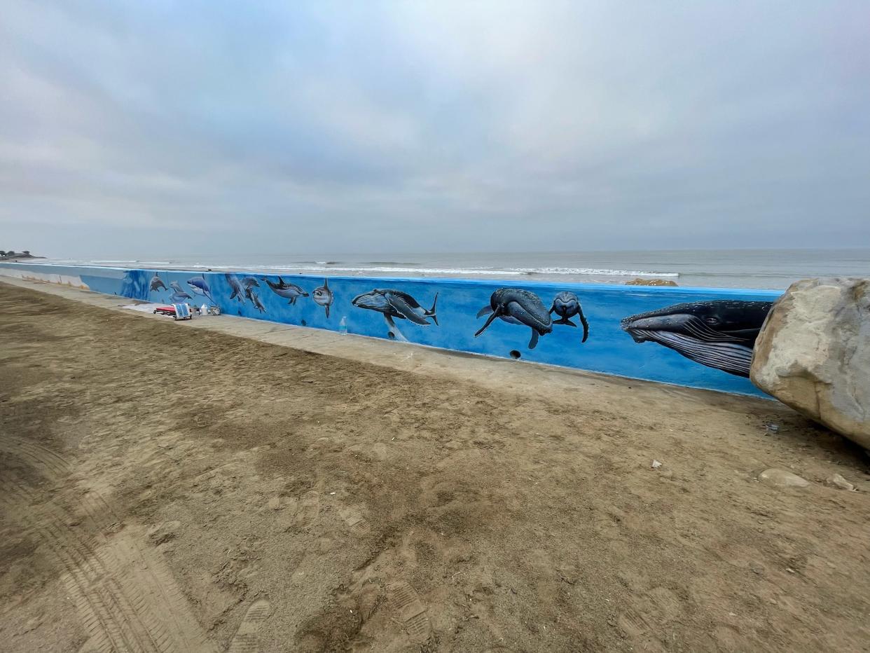A mural project funded by Ventura County Parks is putting ocean creatures onto a seawall south of Solimar Beach.