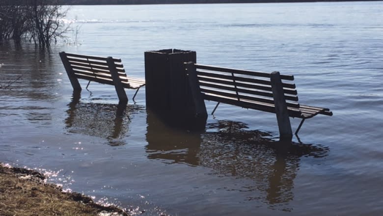 Rising Ottawa River increases flood risk in Britannia, Cumberland