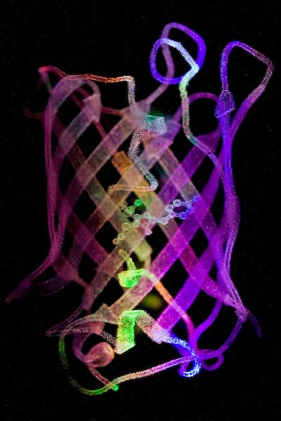 Modelo de la proteína fluorescente GFP. <a href="https://commons.wikimedia.org/wiki/File:GFP_%28Green_Fluorescent_Protein%29_model_%284322934668%29.jpg" rel="nofollow noopener" target="_blank" data-ylk="slk:Umberto Salvagnin / Wikimedia Commons;elm:context_link;itc:0;sec:content-canvas" class="link ">Umberto Salvagnin / Wikimedia Commons</a>, <a href="http://creativecommons.org/licenses/by/4.0/" rel="nofollow noopener" target="_blank" data-ylk="slk:CC BY;elm:context_link;itc:0;sec:content-canvas" class="link ">CC BY</a>