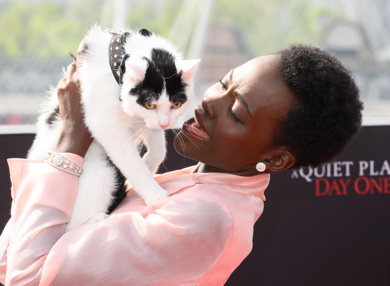 Lupita Nyong'o posing with Schnitzel the cat, her co-star in A Quiet Place: Day One, who was also offered to journalists for interviews. (Karwai Tang/WireImage)