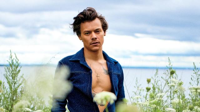 Harry Styles Opens Up About Sex, Drug Use and Reuniting With One Direction