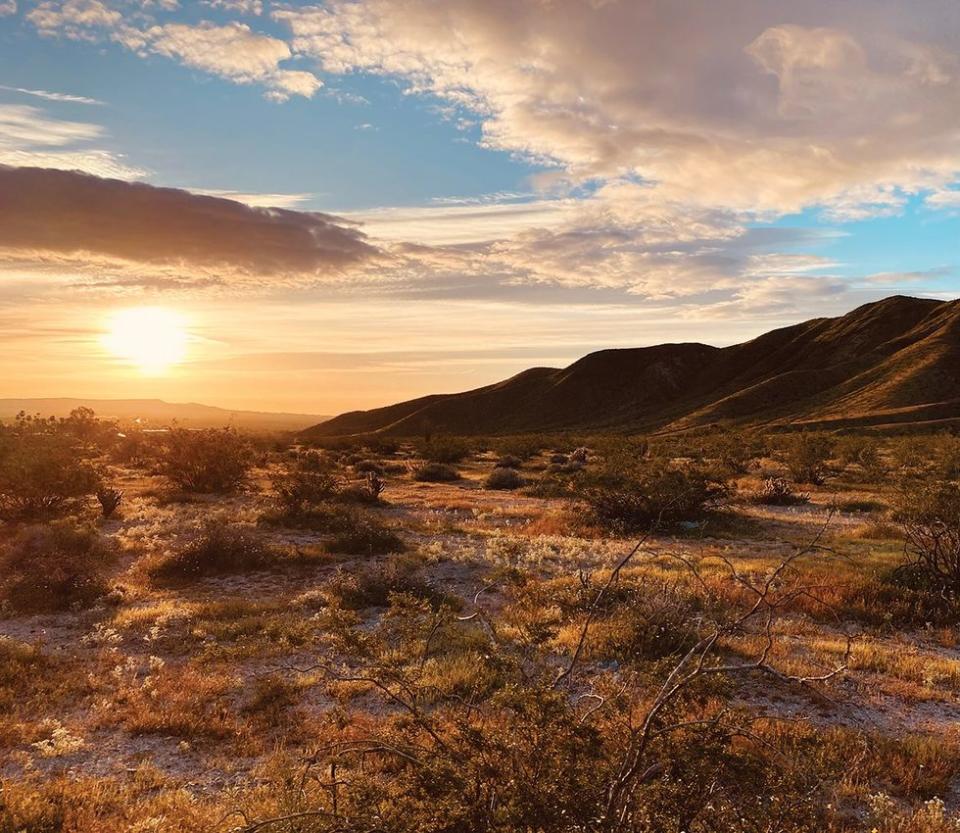 Surf, Sand, & Super Blooms: The Great Southern Californian Road Trip