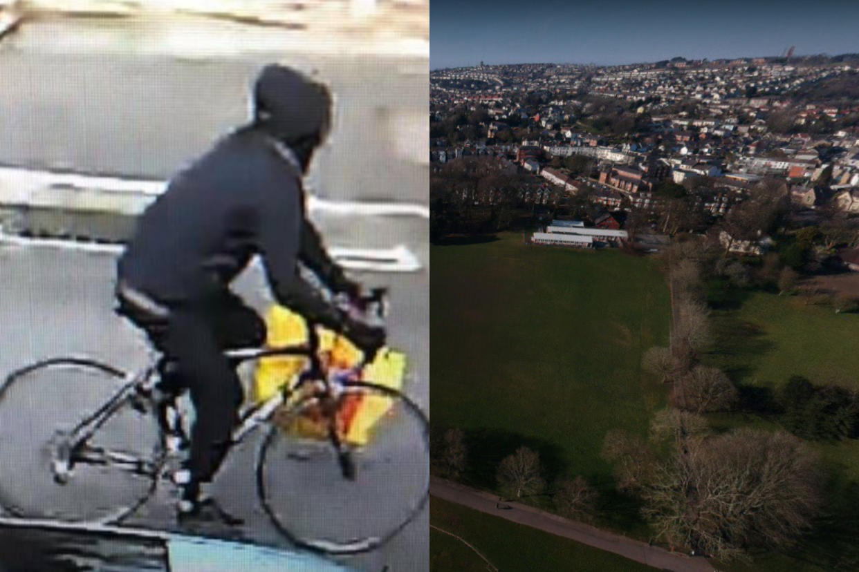 Nine sex attacks happened in just five hours in Singleton Park, Swansea, police said. (South Wales Police/Google Maps)