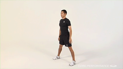 Lateral Squat