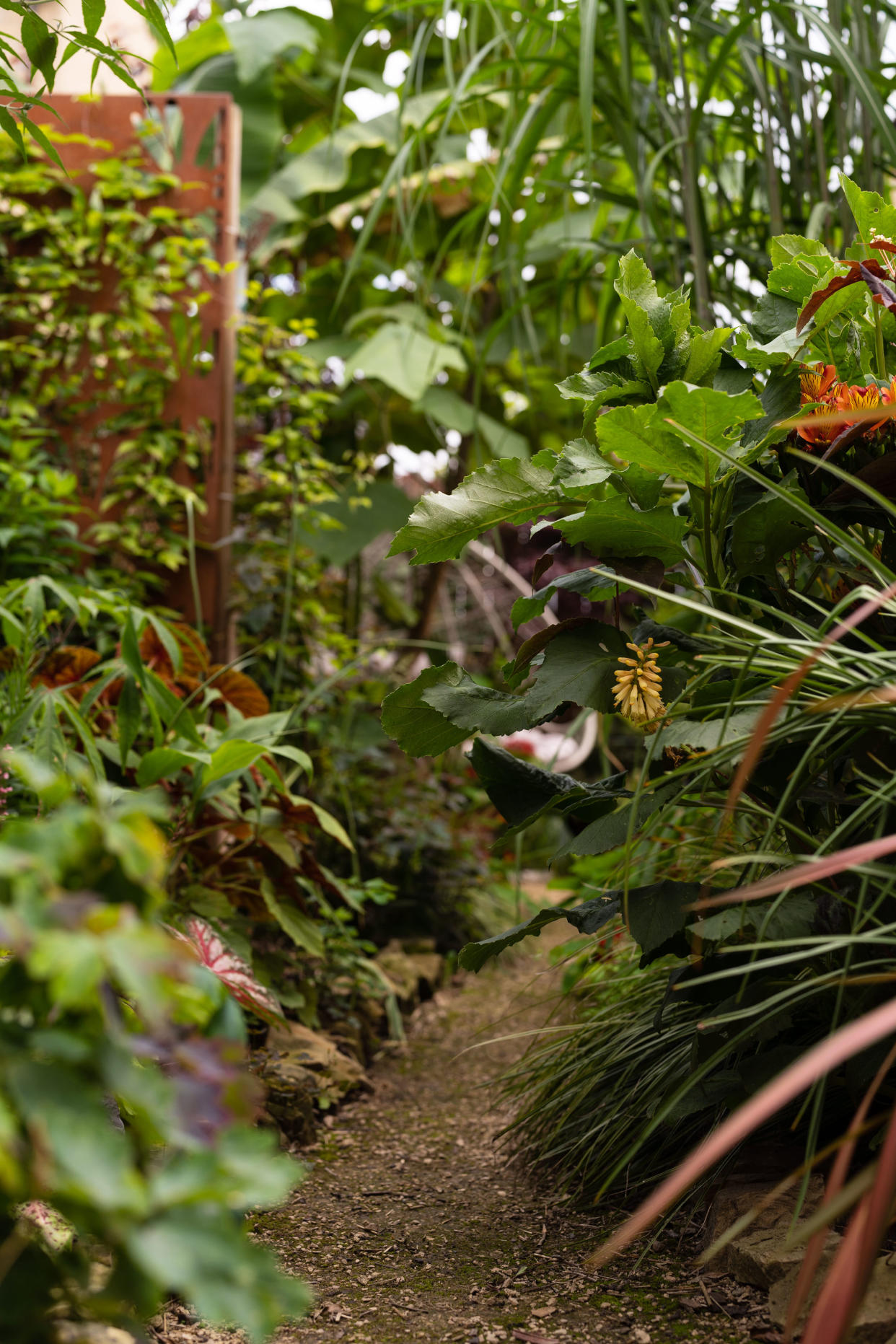 You'd never guess this garden was once a lawned shell. (Caters)