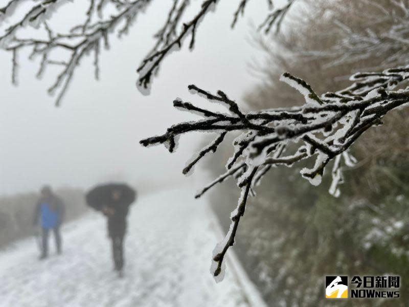 ▲寒流搭配足夠水氣，大屯山今（8）日降下今年第一場雪，民眾興奮的穿上禦寒衣物上山賞雪。（圖／記者葉政勳攝 , 2021.01.08）