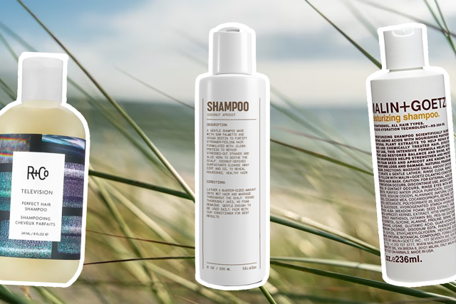 The Best Shampoos in the World