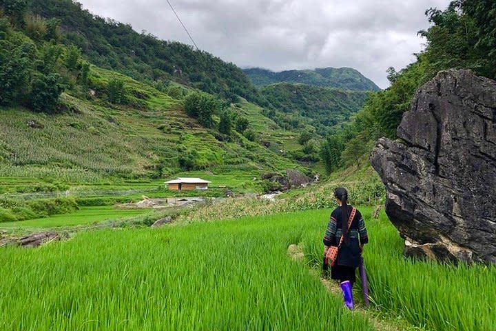 A woman in traditional attire walks on a path through a rice paddy in a Vietnamese valley with mountains in the background.