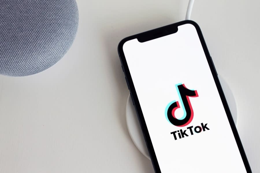 TikTok 圖/pixabay