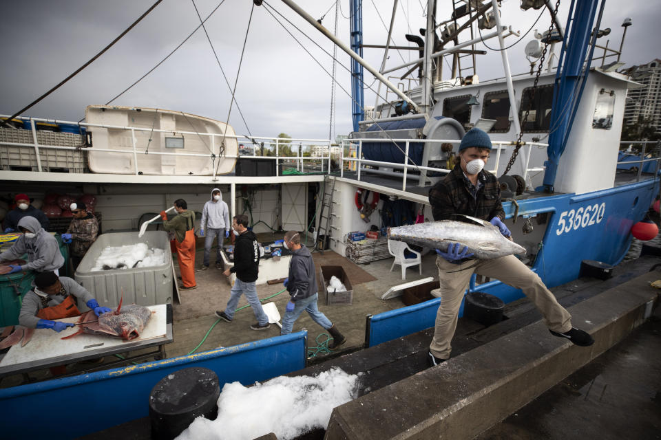 Fishing boat captain Nick Haworth, right, carries tuna to a dock for sale Friday, March 20, 2020, in San Diego. Haworth came home to California after weeks at sea to find a state all but shuttered due to coronavirus measures, and nowhere to sell their catch. A handful of tuna boats filled with tens of thousands of pounds of fish are now floating off San Diego's coast as they scramble to find customers. Haworth was selling on Friday to individuals for less than half what he would get from wholesalers. "This is a quarantine special," he joked. (AP Photo/Gregory Bull)