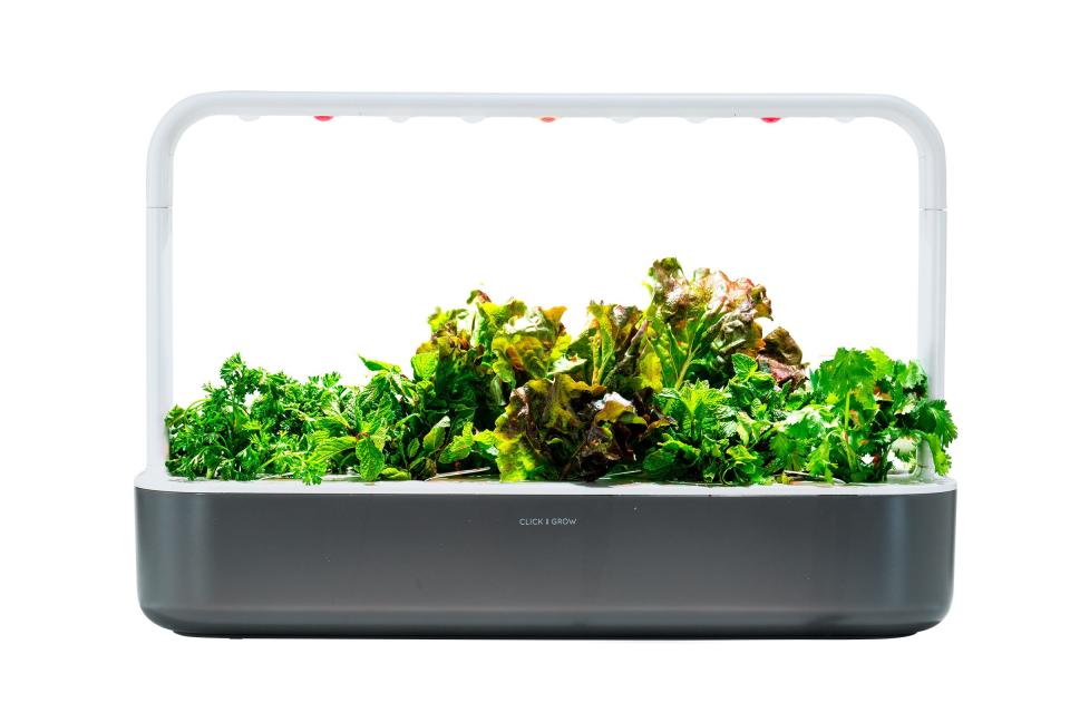 Click & Grow Smart Garden 9