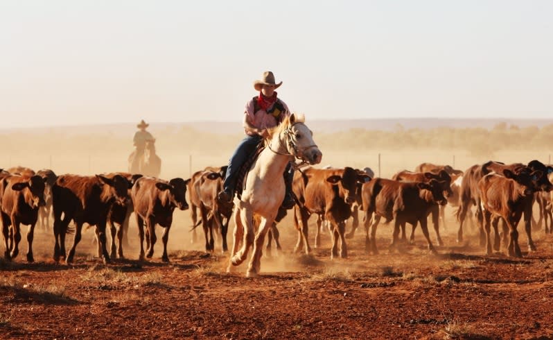 Pastoralist Annabelle Coppin said it was already 44C at 9am at Yarrie Station. Picture: Nic Ellis/The West Australian