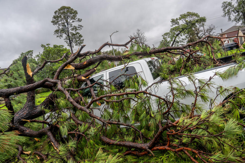 A fallen tree lies across a white pickup truck, causing damage, after a storm in a residential neighborhood
