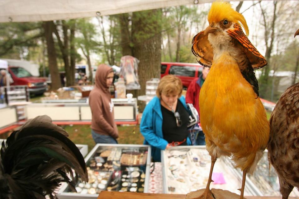 Massachusetts: Brimfield Antique Flea Market