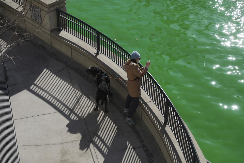 People catch glimpses of the Chicago River dyed green in celebration of St. Patrick's Day on Saturday, March 13, 2021 in Chicago. Mayor Lightfoot sanctioned the famous river dyeing to proceed Saturday, but the Riverwalk was closed to minimize the number of people gathering due to COVID-19. (Abel Uribe /Chicago Tribune via AP)