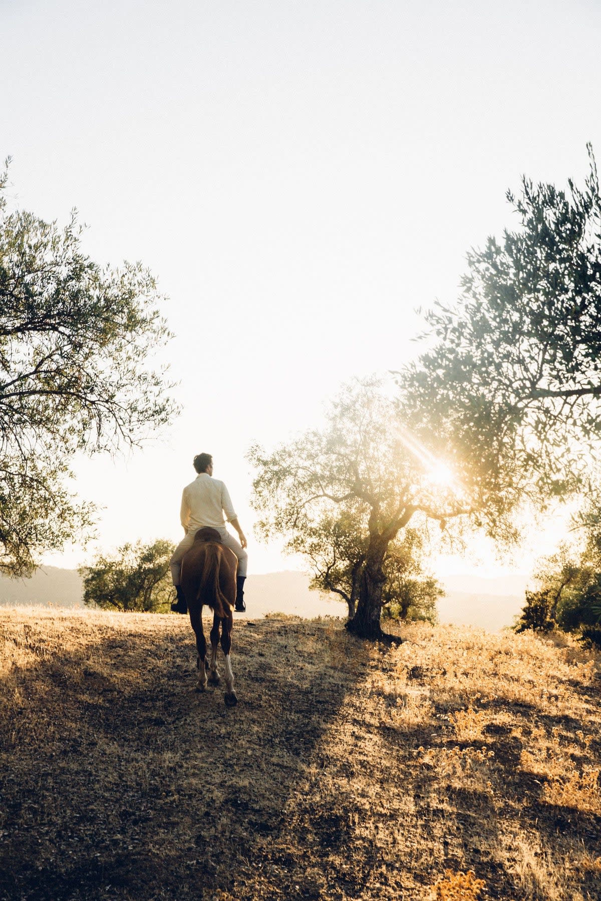 Find yourself in the Spanish countryside on a George Scott Riding Safari  (George Scott Riding)