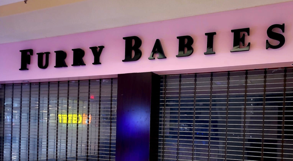 Furry Babies' Rockford store sits empty Friday, Jan. 5, 2024, at CherryVale Mall, 7200 Harrison Ave.