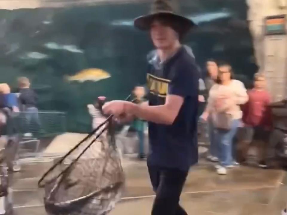 Authorities are searching for answers after they say a man entered a local store with a fish net and removed a live tarpon from the store's indoor fish pond.