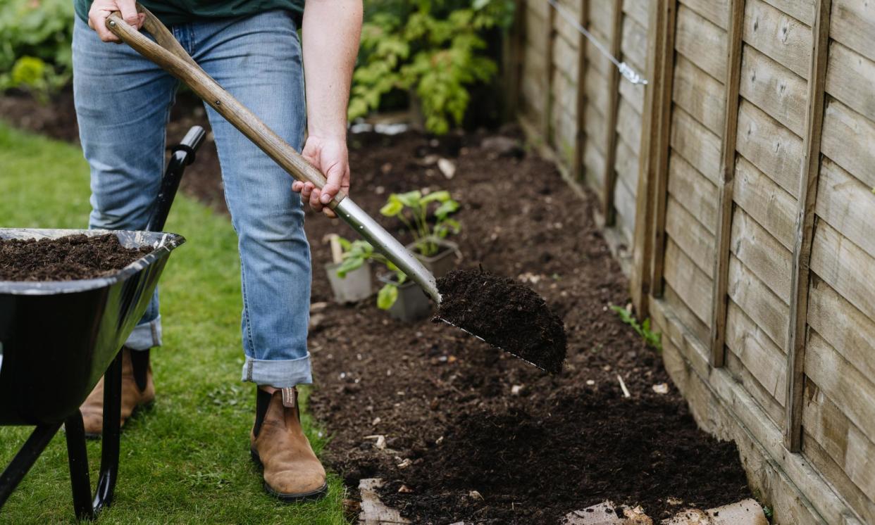 <span>Healthy soils can hold up to eight times more water than more depleted soils, according to Sheila Das of the Royal Horticultural Society.</span><span>Photograph: Eva Nemeth</span>
