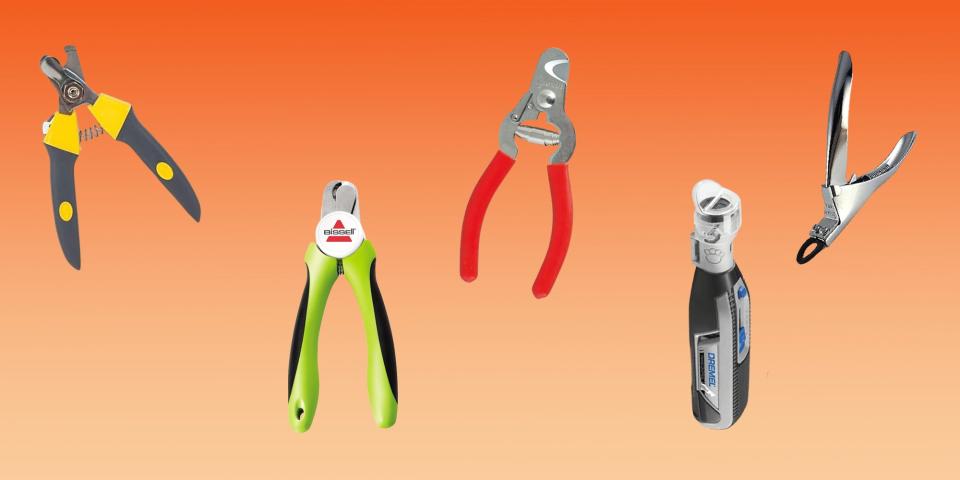 Four dog nail clippers and a nail grinder are arranged on an orange background.