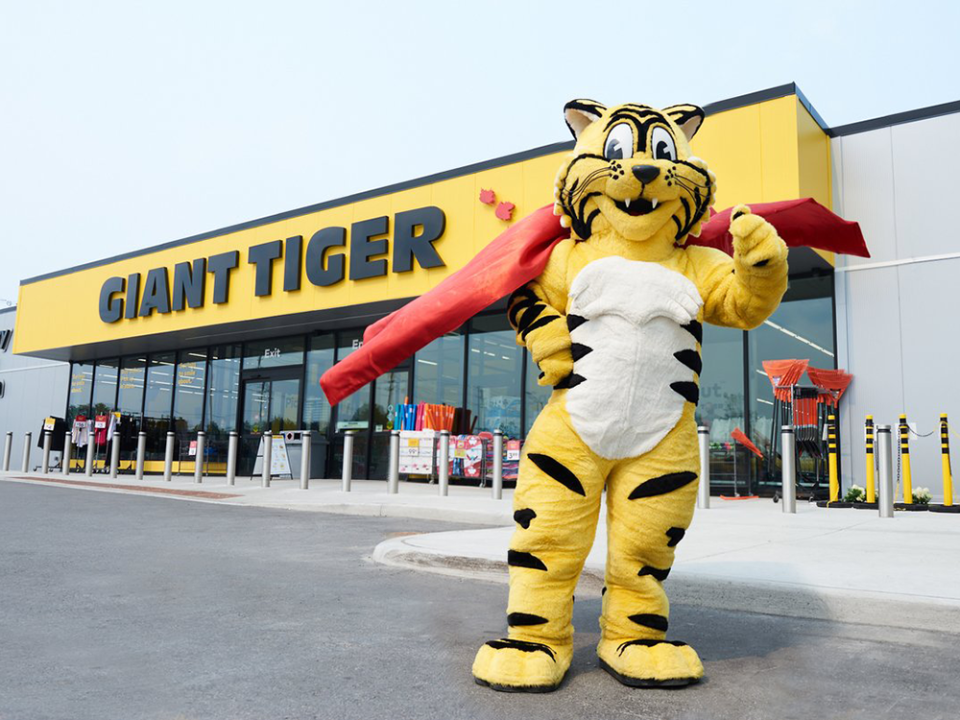 giant-tiger-discount-retailer-gs1111